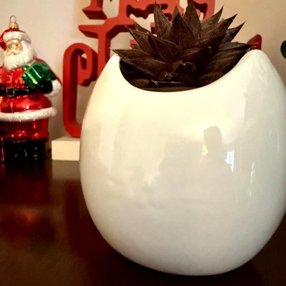 White Ceramic Cat Planter | Cat Lady Box Collectible